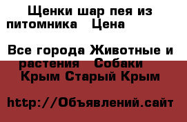 Щенки шар-пея из питомника › Цена ­ 15 000 - Все города Животные и растения » Собаки   . Крым,Старый Крым